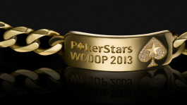 Свежая статистика WCOOP 2013 - русские в топах!