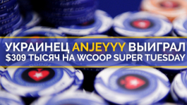 Anjeyyy занёс $309,744 в турнире WCOOP